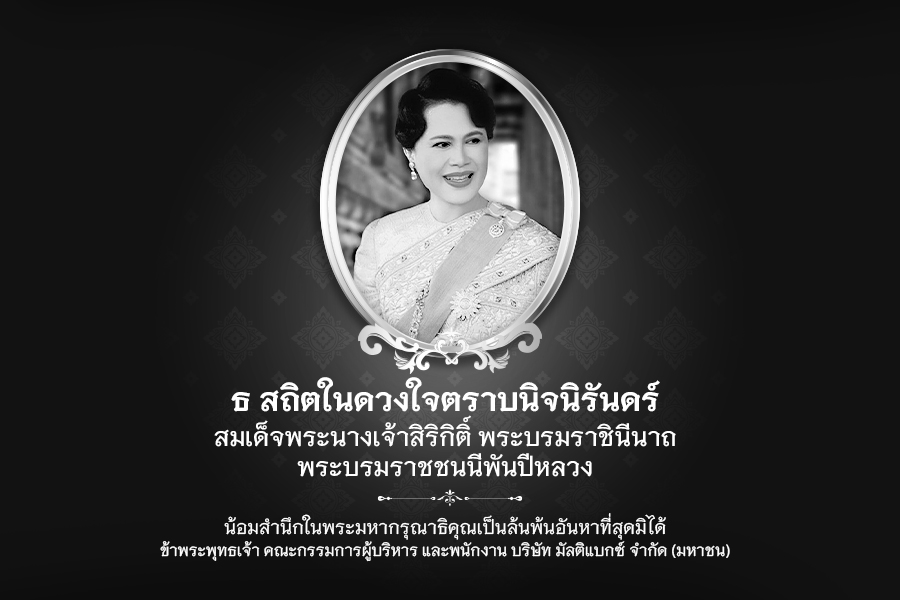 บริษัท มัลติแบกซ์ จำกัด (มหาชน)